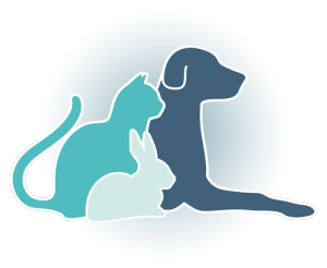 Haustierärztin Dr. med. vet. Afra Geißler